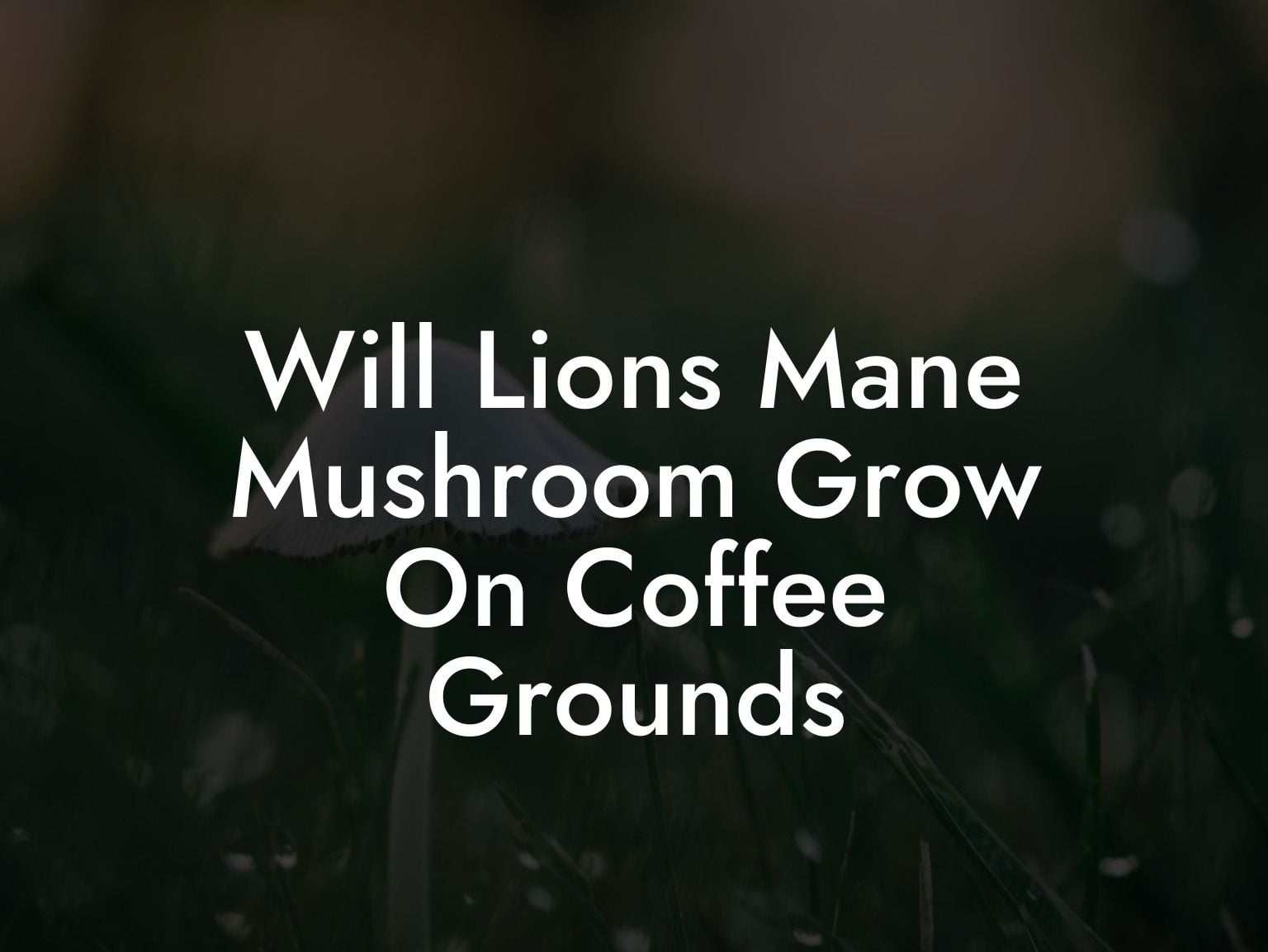 Will Lions Mane Mushroom Grow On Coffee Grounds