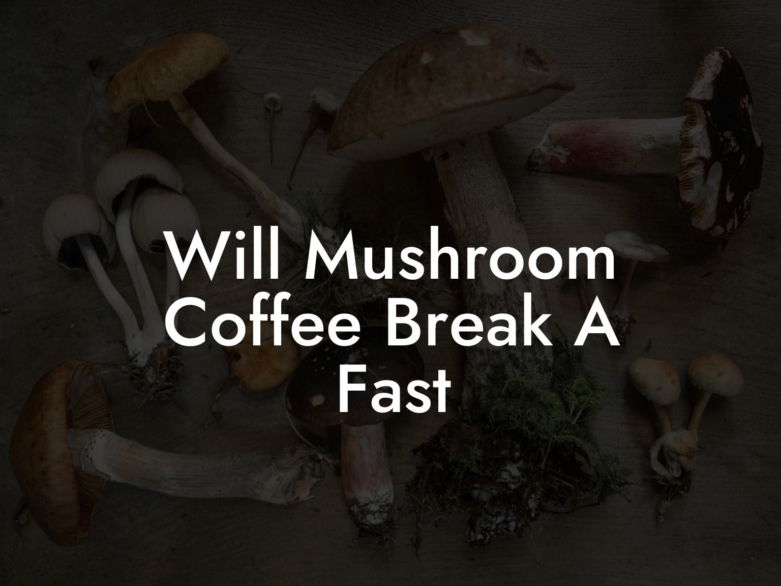 Will Mushroom Coffee Break A Fast