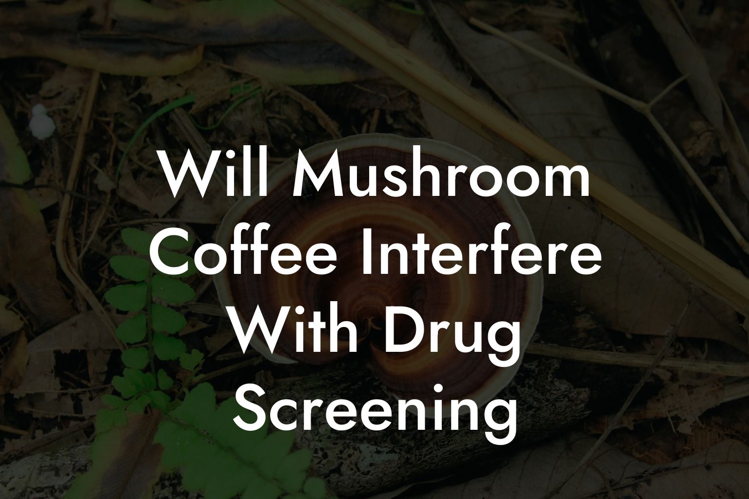 Will Mushroom Coffee Interfere With Drug Screening