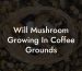 Will Mushroom Growing In Coffee Grounds