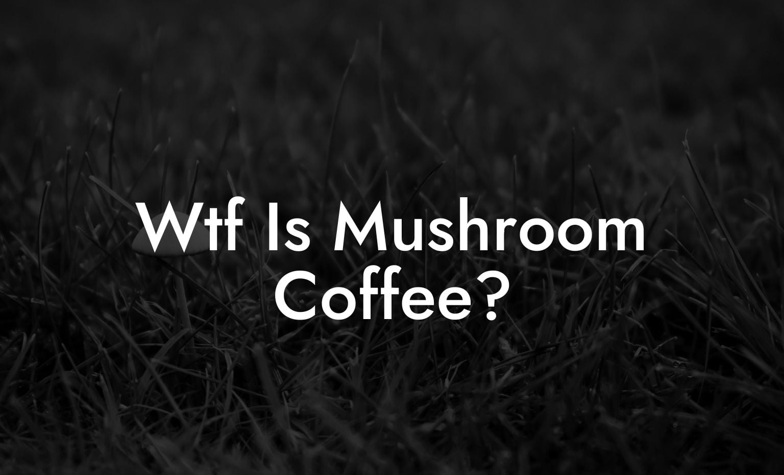 Wtf Is Mushroom Coffee?