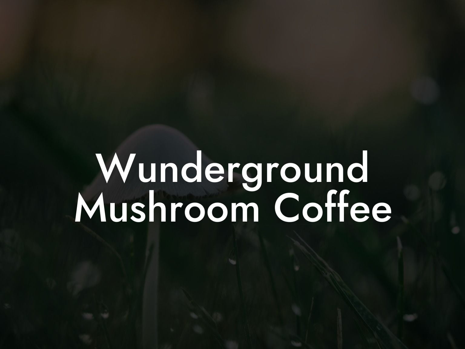 Wunderground Mushroom Coffee