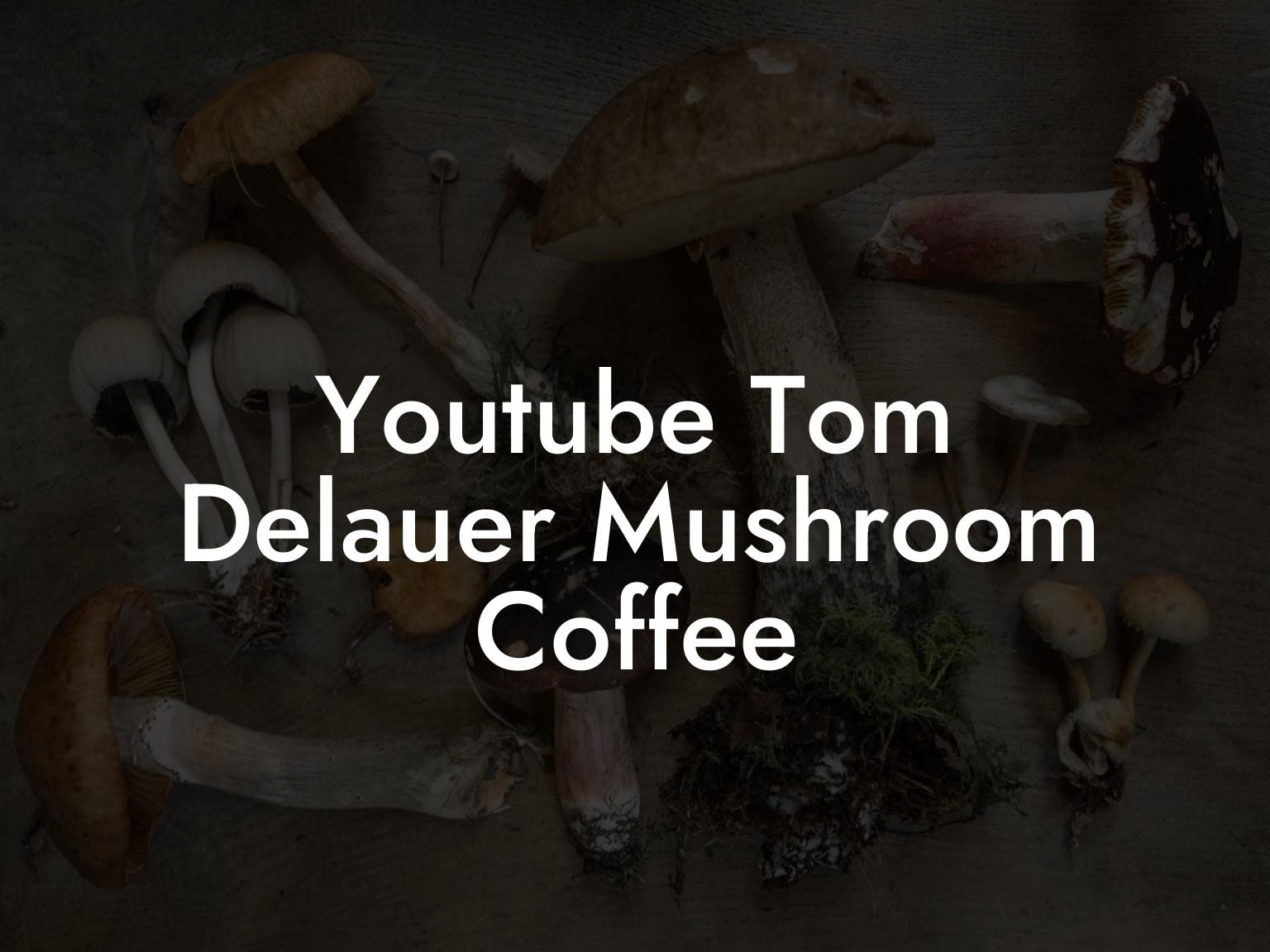 Youtube Tom Delauer Mushroom Coffee